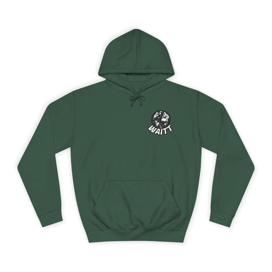 WAITT Logo Turtle Hoddie