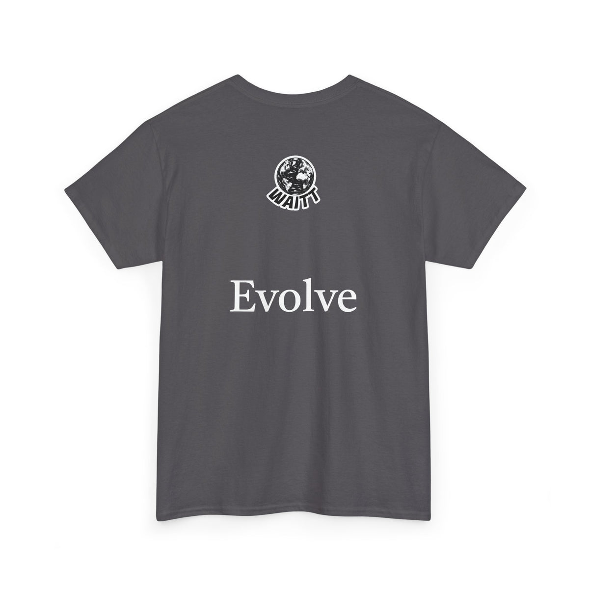Revolution Evolution Tee Shirt