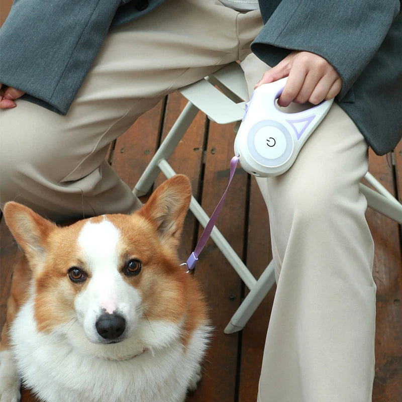 Flashlight Dog Leash combo (3 meter)