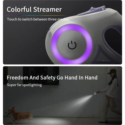 Flashlight Dog Leash combo (3 meter)