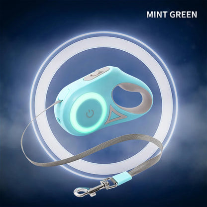 Flashlight Dog Leash combo (3 meter)